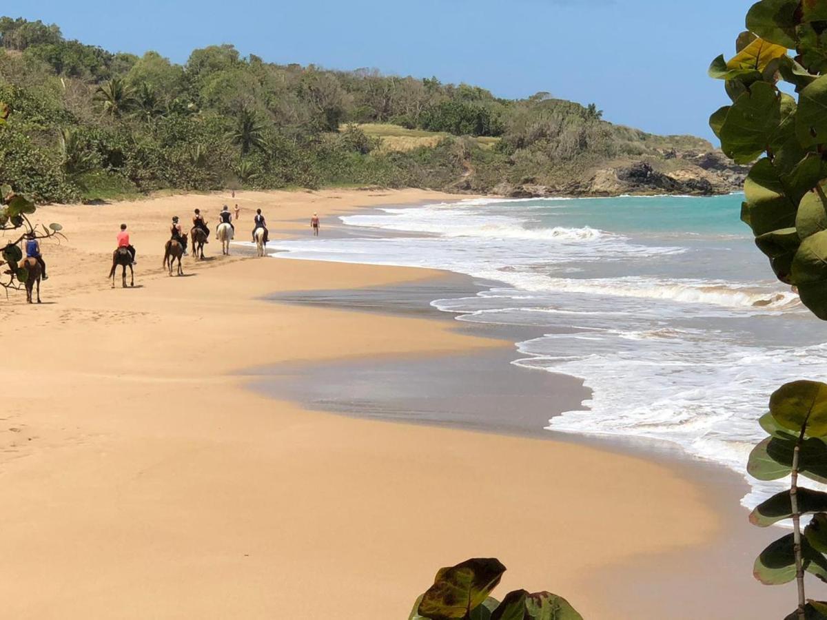 Jolie Petite Villa Sur Une Presqu'Ile Le Gosier  Bagian luar foto