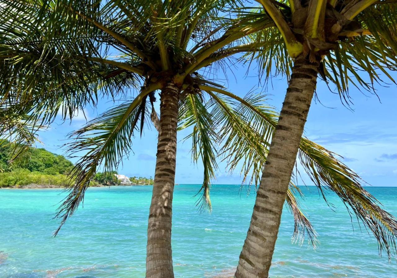 Jolie Petite Villa Sur Une Presqu'Ile Le Gosier  Bagian luar foto
