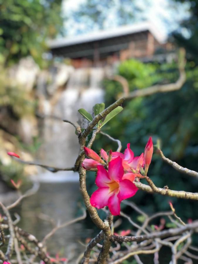 Jolie Petite Villa Sur Une Presqu'Ile Le Gosier  Bagian luar foto