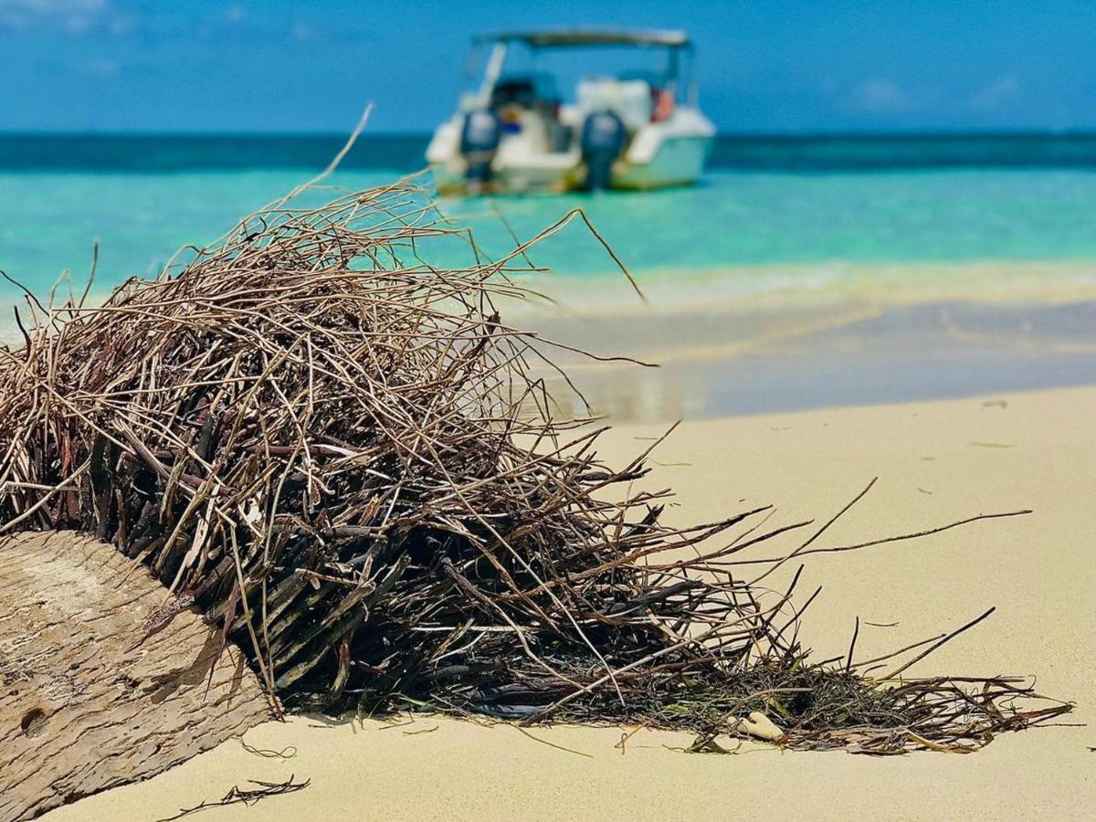 Jolie Petite Villa Sur Une Presqu'Ile Le Gosier  Bagian luar foto