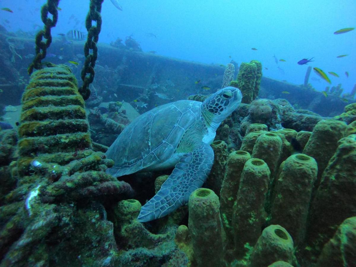Jolie Petite Villa Sur Une Presqu'Ile Le Gosier  Bagian luar foto