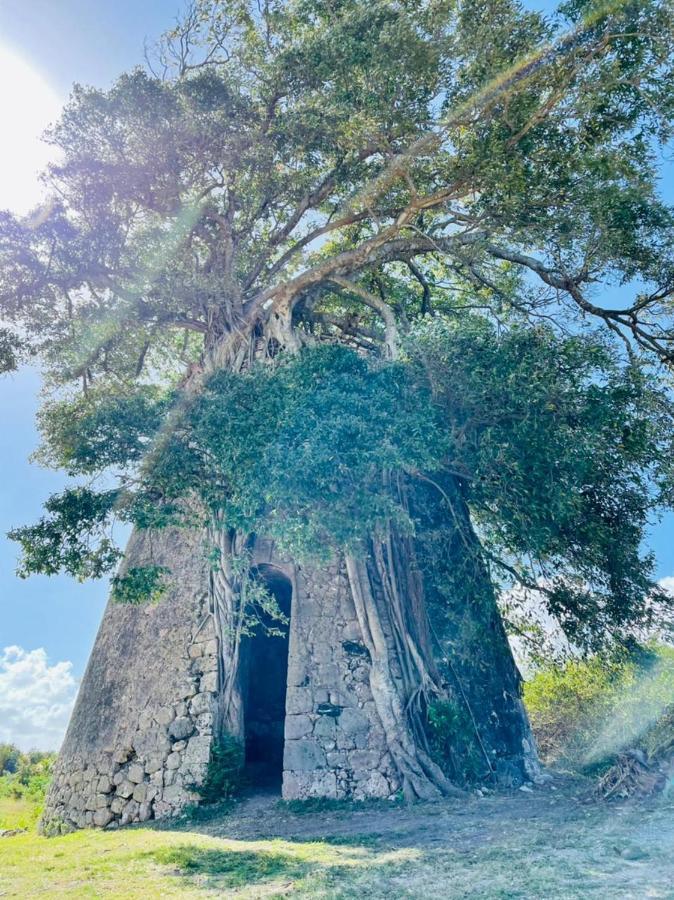 Jolie Petite Villa Sur Une Presqu'Ile Le Gosier  Bagian luar foto